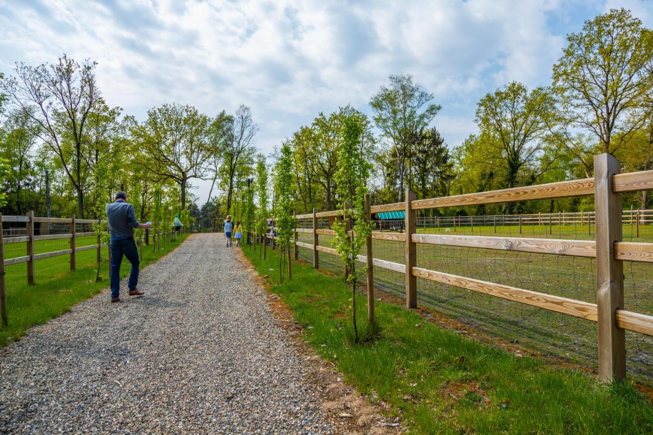 Europarcs Hoge Kempen Zutendaal Εξωτερικό φωτογραφία