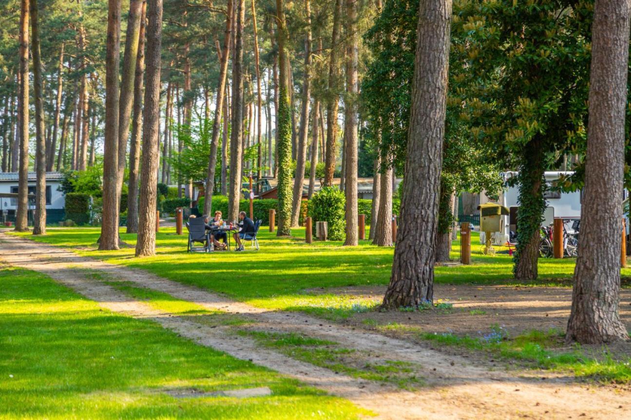 Europarcs Hoge Kempen Zutendaal Εξωτερικό φωτογραφία